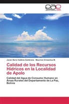 Mauric Ormachea M, Mauricio Ormachea M., Javier Bori Valdivia Zambrana, Javier Boris Valdivia Zambrana - Calidad de los Recursos Hídricos en la Localidad de Apolo