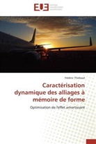 Frédéric Thiebaud, Thiebaud-f - Caracterisation dynamique des