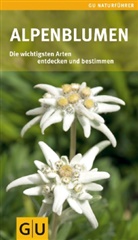 Helga Hofmann - Alpenblumen