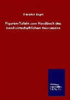 Friedrich Engel, G. Tschulok - Entwicklungstheorie (Darwins Lehre)
