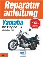Thomas Jung, Ralp Knop, Ralph Knop, Uwe Altmann, Thomas Jung - Yamaha XV 125/250 S (ab 1989)