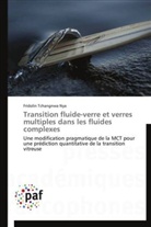 Nya-f, Fridolin Tchangnwa Nya - Transition fluide verre et verres