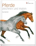 Eva Dutton - Pferde zeichnen und malen