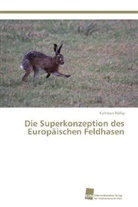 Kathleen Röllig - Die Superkonzeption des Europäischen Feldhasen
