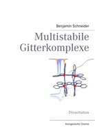 Benjamin Schneider - Multistabile Gitterkomplexe