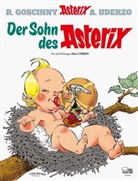 Goscinn, Ren Goscinny, René Goscinny, Uderzo, Albert Uderzo, René Goscinny... - Asterix - Bd.27: Asterix - Der Sohn des Asterix