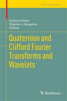 Eckhar Hitzer, Eckhard Hitzer, J Sangwine, J Sangwine, Stephen J. Sangwine - Quaternion and Clifford Fourier Transforms and Wavelets