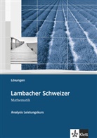 Lambacher-Schweizer Analysis Leistungskurs: Lambacher Schweizer Mathematik Analysis Leistungskurs