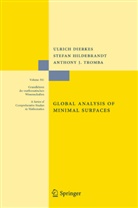Ulric Dierkes, Ulrich Dierkes, Stefa Hildebrandt, Stefan Hildebrandt, Anthon Tromba, Anthony Tromba - Global Analysis of Minimal Surfaces