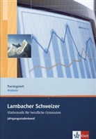 Lambacher-Schweizer, Mathematik für berufliche Gymnasien: Lambacher Schweizer Mathematik berufliches Gymnasium Trainingsheft Analysis
