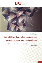 Hind Mestouri, Mestouri-h - Modelisation des antennes