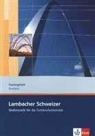 Lambacher-Schweizer, Mathematik für die Fachhochschulreife: Trainingsheft Analysis