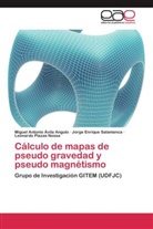 Miguel Antoni Ávila Angulo, Miguel Antonio Ávila Angulo, Leonardo Plazas Nossa, Jorge Enri Salamanca, Jorge Enrique Salamanca - Cálculo de mapas de pseudo gravedad y pseudo magnétismo