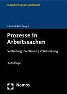 Fran Lansnicker, Frank Lansnicker - Prozesse in Arbeitssachen