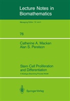 Catherine Macken, Catherine A Macken, Catherine A. Macken, Alan S Perelson, Alan S. Perelson - Stem Cell Proliferation and Differentiation