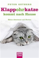 Peter Gethers - Klappohrkatze kommt nach Hause