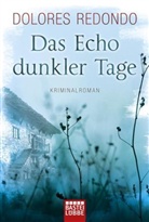 Dolores Redondo - Das Echo dunkler Tage