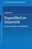 Joachim Voss - Ungewißheit im Steuerrecht