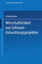 Achim Kindler - Wirtschaftlichkeit von Software-Entwicklungsprojekten