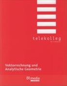 Dillinger, Josef Dillinger, Fraunhol, Wolfgan Fraunholz, Wolfgang Fraunholz - Vektorrechnung und Analytische Geometrie