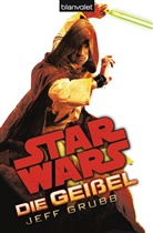Jeff Grubb - Star Wars - Die Geißel