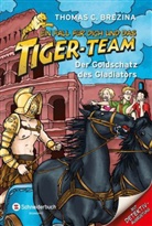 Thomas Brezina, Thomas C Brezina, Thomas C. Brezina, Naomi Fearn - Ein Fall für dich und das Tiger-Team - Der Goldschatz des Gladiators