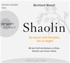 Bernhard Moestl, Herbert Schäfer - Shaolin, 3 Audio-CDs (Hörbuch)