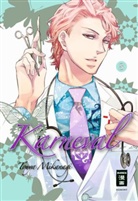 Touya Mikanagi - Karneval. Bd.8