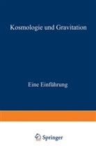 Michael Berry - Kosmologie und Gravitation
