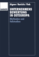 Helmut Aigner, Stepha Barisitz, Stephan Barisitz, Gerhar Fink, Gerhard Fink - Unternehmensbewertung in Osteuropa