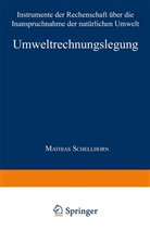 Mathias Schellhorn, Matthias Schellhorn - Umweltrechnungslegung
