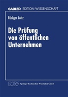 Rüdiger Loitz - Die Prüfung von öffentlichen Unternehmen