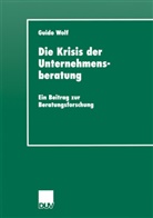 Guido Wolf - Die Krisis der Unternehmensberatung