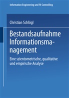 Christian Schlögl - Bestandsaufnahme Informationsmanagement