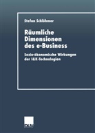 Stefan Schl&ouml;hmer - R&auml;umliche Dimensionen des e-Business