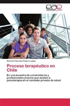 Andrea Francisca Pizarro Lopez - Proceso terapéutico en Chile