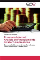 Diego Andrés Lasso Pérez - Economía Informal: Análisis de Financiamiento de Micro-empresarios
