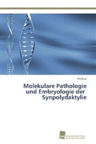 Pia Kuss - Molekulare Pathologie und Embryologie der Synpolydaktylie