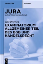Jens Petersen - Examinatorium Allgemeiner Teil des BGB und Handelsrecht