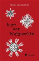 Monika Krautgartner - Kurz vor Weihnachtn