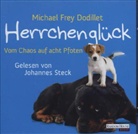 Michael Frey Dodillet, Johannes Steck - Herrchenglück, 2 Audio-CDs (Hörbuch)