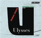 James Joyce, Frank Arnold, Christian Berkel, Matthias Brandt, Edith Clever, Heikko Deutschmann... - Ulysses, 31 Audio-CDs (Hörbuch)