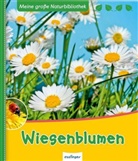 Svenja Ernsten, Loek van de Leur, Svenja Ernsten - Wiesenblumen