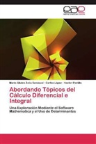 Mario Silvin Ávila Sandoval, Mario Silvino Ávila Sandoval, Carlo López, Carlos López, Portil, Hector Portillo - Abordando Tópicos del Cálculo Diferencial e Integral