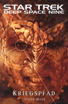 David Mack, Gene Roddenberry - Star Trek, Deep Space Nine - Kriegspfad
