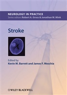 Kevin M. Barrett, Kevin M. Meschia Barrett, Kevin Meschia Barrett, Km Barrett, James F. Meschia, Kevin M. Barrett... - Stroke