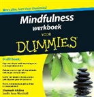 Shamash Alidina, Joelle Jane Marshall - Mindfulness werkboek voor Dummies