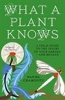 Daniel Chamovitz - What a Plant Knows