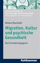 Wielant Machleidt, Michae Ermann, Michael Ermann - Kultur, Migration und Psychische Gesundheit