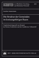 Joachim Ammermann - Die Struktur der Gemeinden im kreisangehörigen Raum